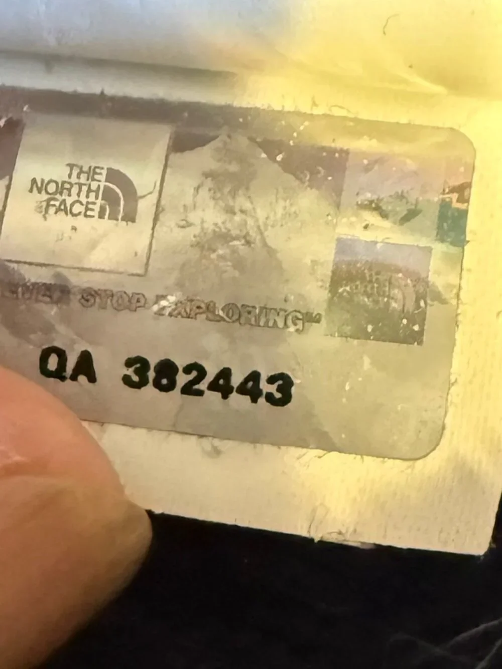 The North Face mens north